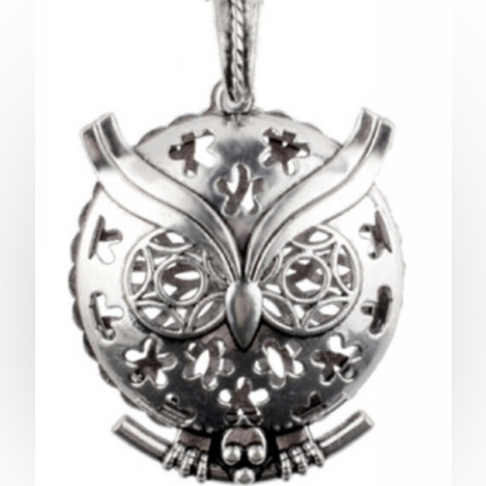 🦉Starry Owl Essential Oil Pendant